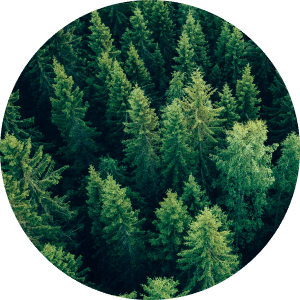 TimberTech Home Sustainability Trees Circle Beauty